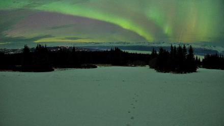 Homer Alaska Northern Lights Live Cam - Jan 20, 2026, 9:59pm AKST