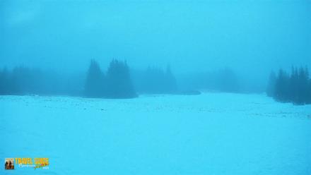 Homer Alaska Northern Lights Live Cam - Apr 18, 2026, 6:19am AKDT