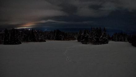 Homer Alaska Northern Lights Live Cam - Feb 14, 2026, 4:52am AKST