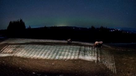 Homer Alaska Northern Lights Live Cam - Dec 15, 2025, 9:16pm AKST