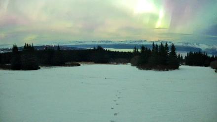 Homer Alaska Northern Lights Live Cam - Jan 20, 2026, 11:49pm AKST