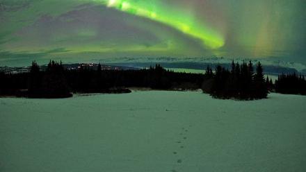 Homer Alaska Northern Lights Live Cam - Jan 20, 2026, 10:05pm AKST
