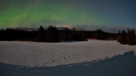 Homer Alaska Northern Lights Live Cam - Feb 24, 2026, 1:15am AKST