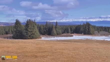 Homer Alaska Northern Lights Live Cam - Apr 21, 2026, 1:18pm AKDT