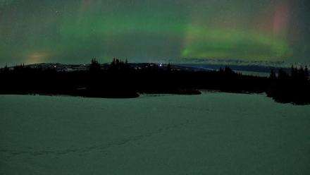 Homer Alaska Northern Lights Live Cam - Feb 22, 2026, 12:26am AKST
