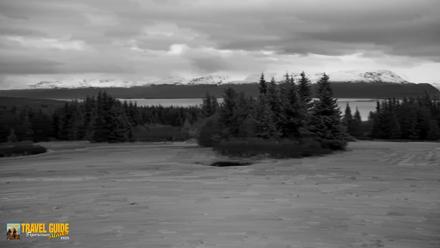 Homer Alaska Northern Lights Live Cam - May 13, 2026, 11:10pm AKDT