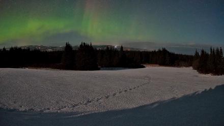 Homer Alaska Northern Lights Live Cam - Feb 24, 2026, 1:26am AKST