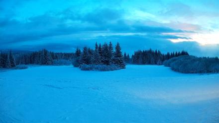 Homer Alaska Northern Lights Live Cam - Jan 14, 2026, 8:56am AKST