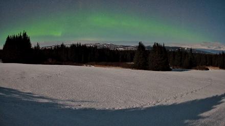 Homer Alaska Northern Lights Live Cam - Feb 25, 2026, 1:33am AKST