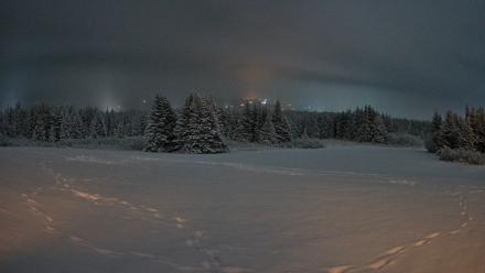 Homer Alaska Northern Lights Live Cam - Jan 13, 2026, 7:04am AKST