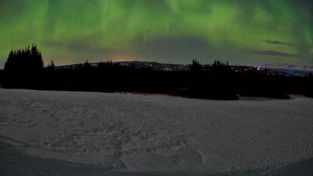 Homer Alaska Northern Lights Live Cam - Mar 24, 2026, 2:30am AKDT