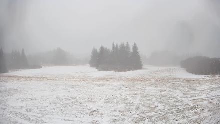 Homer Alaska Northern Lights Live Cam - Feb 10, 2026, 12:06pm AKST