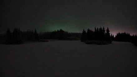 Homer Alaska Northern Lights Live Cam - Jan 14, 2026, 1:52am AKST