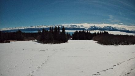 Homer Alaska Northern Lights Live Cam - Jan 31, 2026, 10:27pm AKST