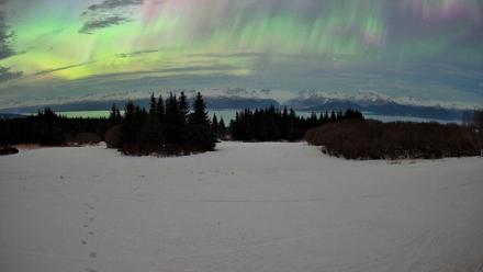 Homer Alaska Northern Lights Live Cam - Jan 20, 2026, 2:58am AKST