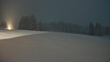 Homer Alaska Northern Lights Live Cam - Jan 6, 2026, 10:10pm AKST