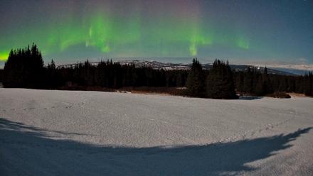 Homer Alaska Northern Lights Live Cam - Feb 25, 2026, 1:22am AKST