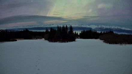 Homer Alaska Northern Lights Live Cam - Jan 21, 2026, 1:22am AKST