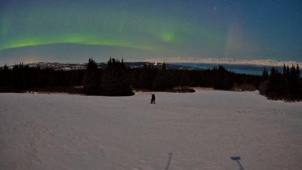 Homer Alaska Northern Lights Live Cam - Mar 23, 2026, 10:06pm AKDT