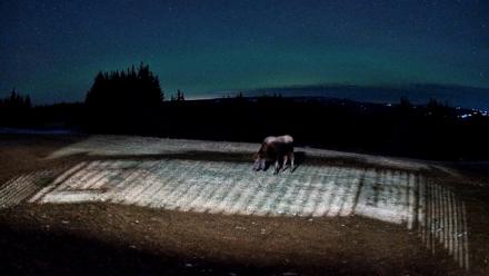 Homer Alaska Northern Lights Live Cam - Dec 22, 2025, 9:50pm AKST