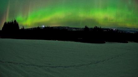 Homer Alaska Northern Lights Live Cam - Feb 22, 2026, 12:43am AKST