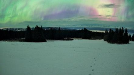 Homer Alaska Northern Lights Live Cam - Jan 20, 2026, 5:58am AKST