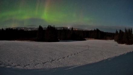 Homer Alaska Northern Lights Live Cam - Feb 24, 2026, 1:35am AKST