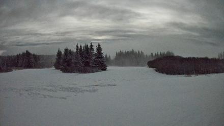 Homer Alaska Northern Lights Live Cam - Jan 6, 2026, 12:12am AKST