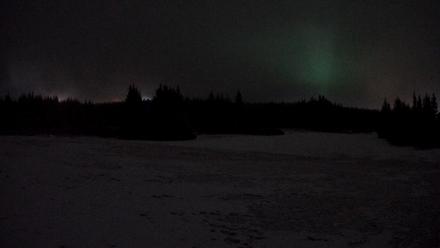 Homer Alaska Northern Lights Live Cam - Apr 5, 2026, 3:07am AKDT