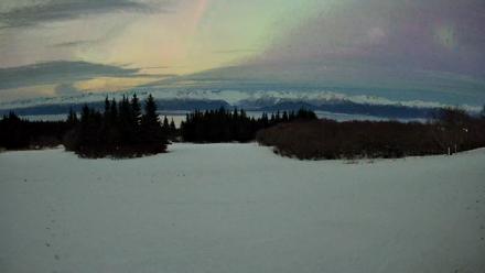 Homer Alaska Northern Lights Live Cam - Jan 21, 2026, 1:14am AKST
