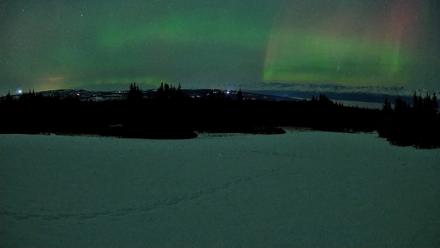 Homer Alaska Northern Lights Live Cam - Feb 22, 2026, 12:28am AKST