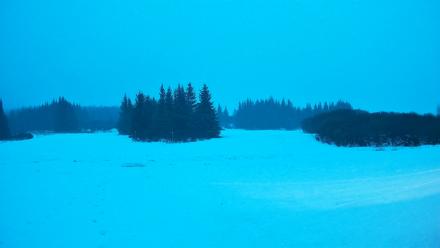 Homer Alaska Northern Lights Live Cam - Jan 26, 2026, 2:41pm AKST