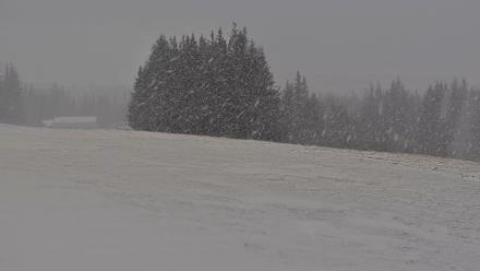 Homer Alaska Northern Lights Live Cam - Dec 29, 2025, 3:34pm AKST