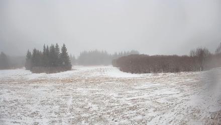 Homer Alaska Northern Lights Live Cam - Feb 10, 2026, 11:33am AKST