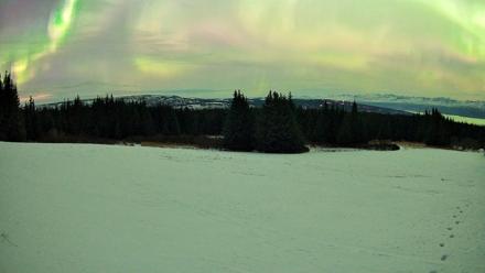 Homer Alaska Northern Lights Live Cam - Jan 20, 2026, 11:48pm AKST