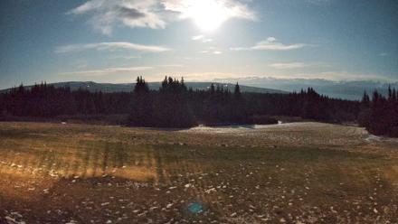 Homer Alaska Northern Lights Live Cam - Dec 5, 2025, 6:46pm AKST