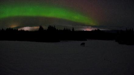 Homer Alaska Northern Lights Live Cam - Feb 19, 2026, 3:26am AKST