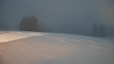 Homer Alaska Northern Lights Live Cam - Jan 5, 2026, 10:06pm AKST