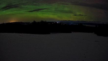 Homer Alaska Northern Lights Live Cam - Jan 24, 2026, 1:00am AKST