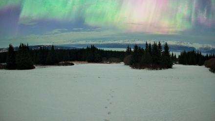 Homer Alaska Northern Lights Live Cam - Jan 20, 2026, 6:18am AKST