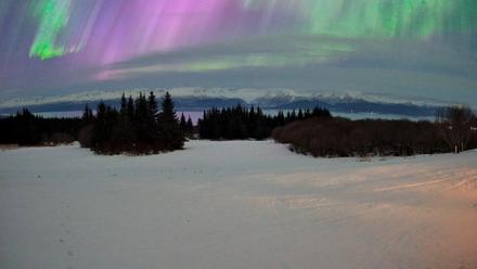Homer Alaska Northern Lights Live Cam - Jan 20, 2026, 7:00am AKST