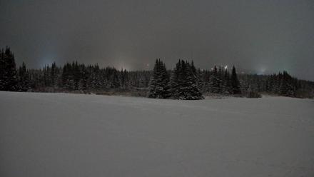 Homer Alaska Northern Lights Live Cam - Jan 15, 2026, 2:49am AKST