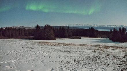 Homer Alaska Northern Lights Live Cam - Apr 2, 2026, 12:17am AKDT