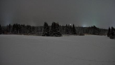 Homer Alaska Northern Lights Live Cam - Jan 15, 2026, 2:19am AKST