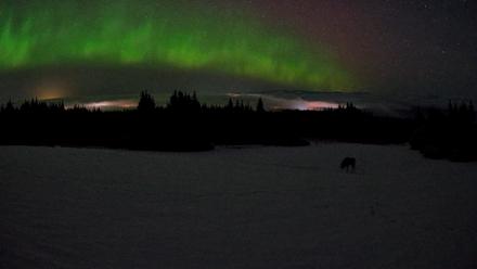 Homer Alaska Northern Lights Live Cam - Feb 19, 2026, 3:36am AKST