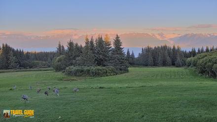 Homer Alaska Northern Lights Live Cam - Aug 31, 2026, 8:38pm AKDT