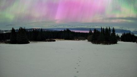 Homer Alaska Northern Lights Live Cam - Jan 20, 2026, 6:39am AKST