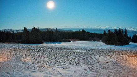 Homer Alaska Northern Lights Live Cam - Jan 2, 2026, 5:37pm AKST