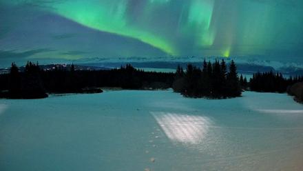 Homer Alaska Northern Lights Live Cam - Jan 20, 2026, 9:58pm AKST