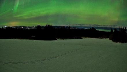 Homer Alaska Northern Lights Live Cam - Feb 21, 2026, 11:46pm AKST